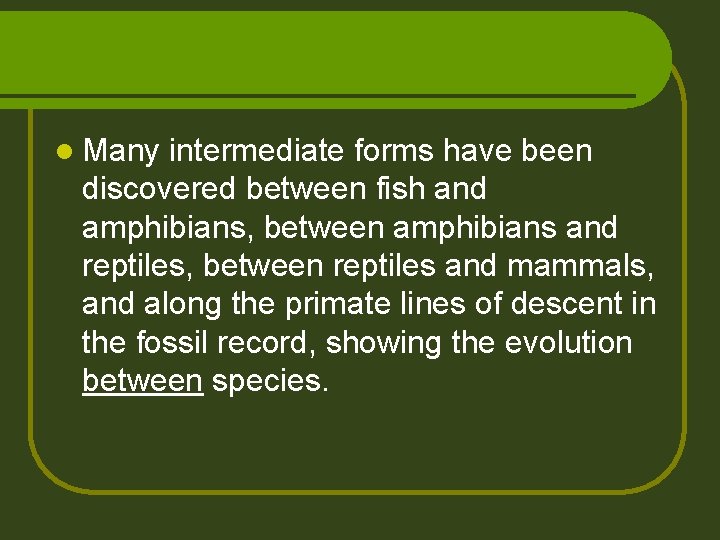 l Many intermediate forms have been discovered between fish and amphibians, between amphibians and