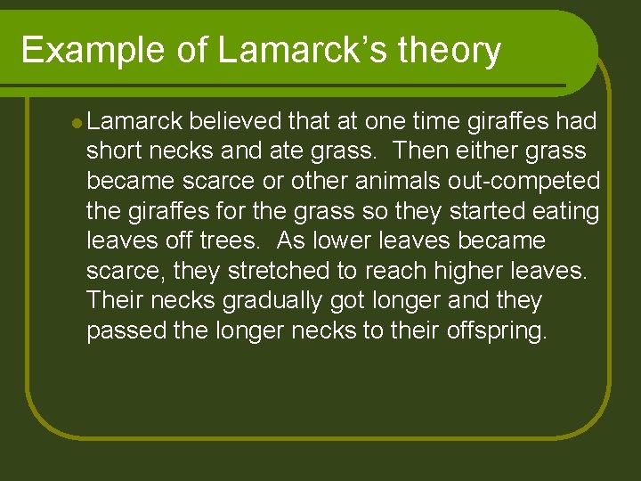 Example of Lamarck’s theory l Lamarck believed that at one time giraffes had short