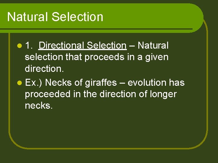 Natural Selection l 1. Directional Selection – Natural selection that proceeds in a given