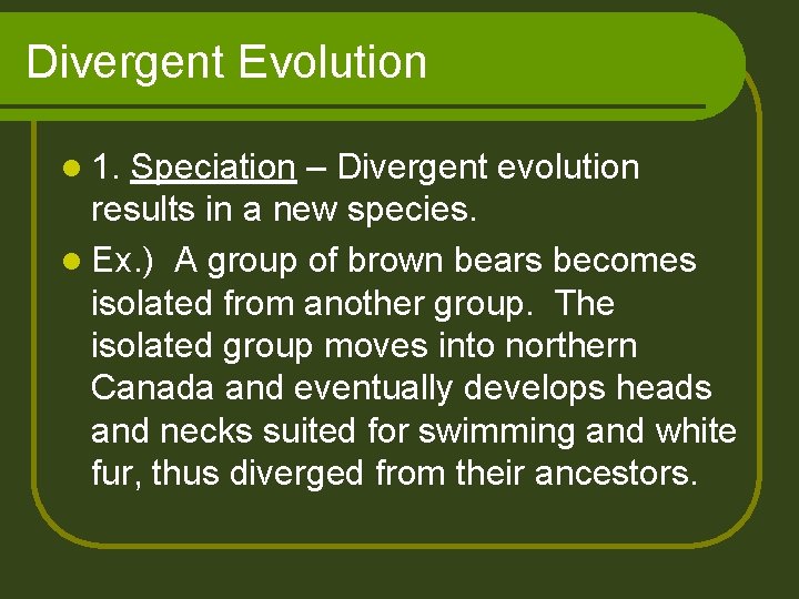 Divergent Evolution l 1. Speciation – Divergent evolution results in a new species. l