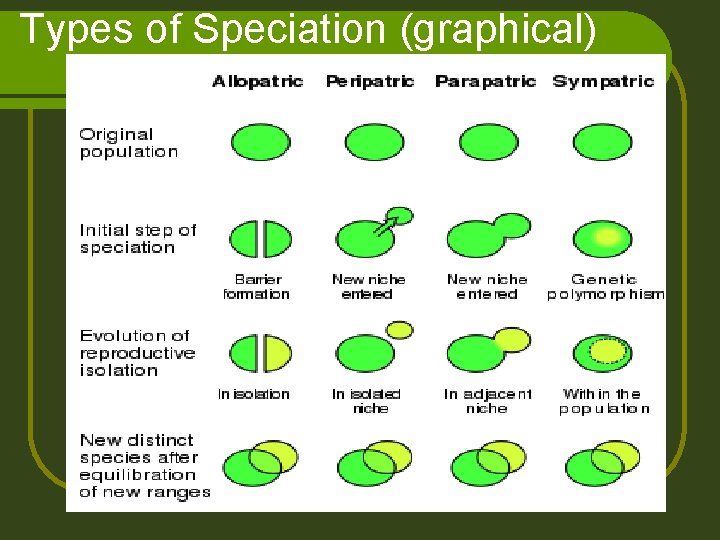 Types of Speciation (graphical) 