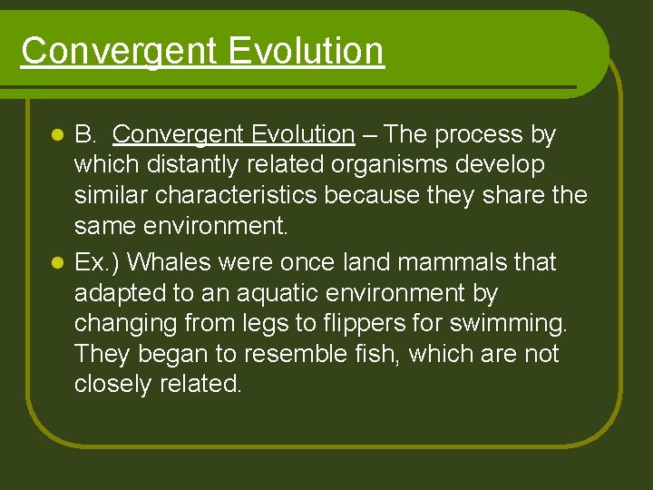 Convergent Evolution B. Convergent Evolution – The process by which distantly related organisms develop