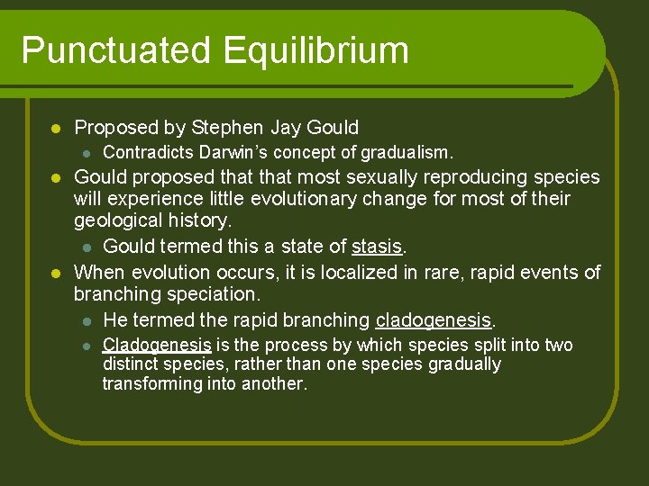 Punctuated Equilibrium l Proposed by Stephen Jay Gould l Contradicts Darwin’s concept of gradualism.