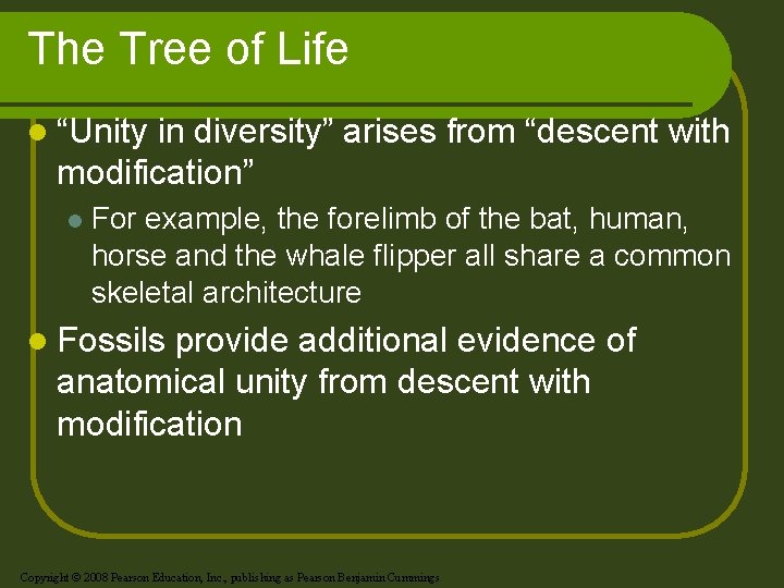 The Tree of Life l “Unity in diversity” arises from “descent with modification” l