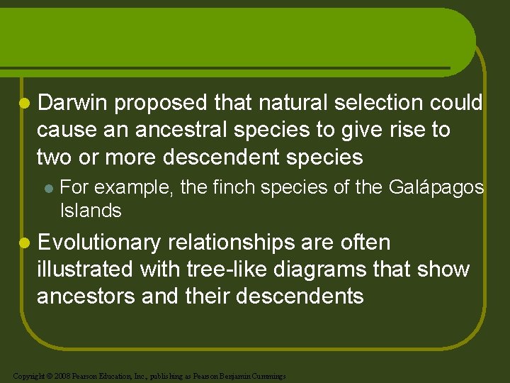 l Darwin proposed that natural selection could cause an ancestral species to give rise