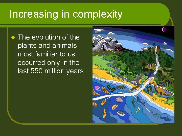 Increasing in complexity l The evolution of the plants and animals most familiar to