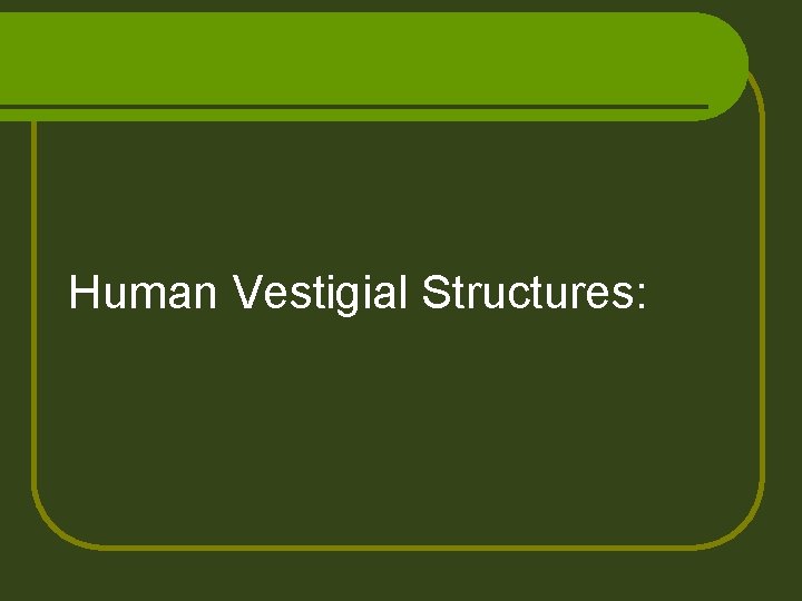 Human Vestigial Structures: 