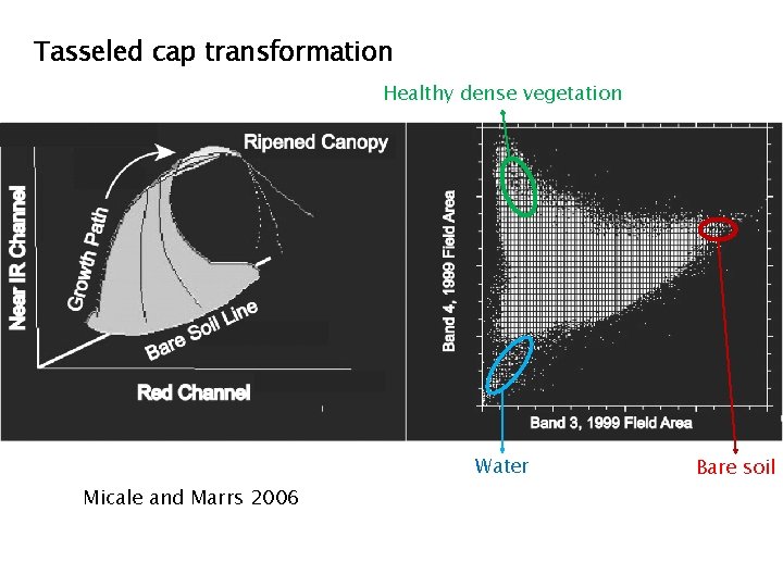 Tasseled cap transformation Healthy dense vegetation Water Micale and Marrs 2006 Bare soil 