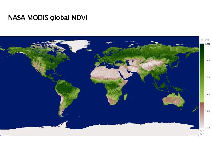 NASA MODIS global NDVI 