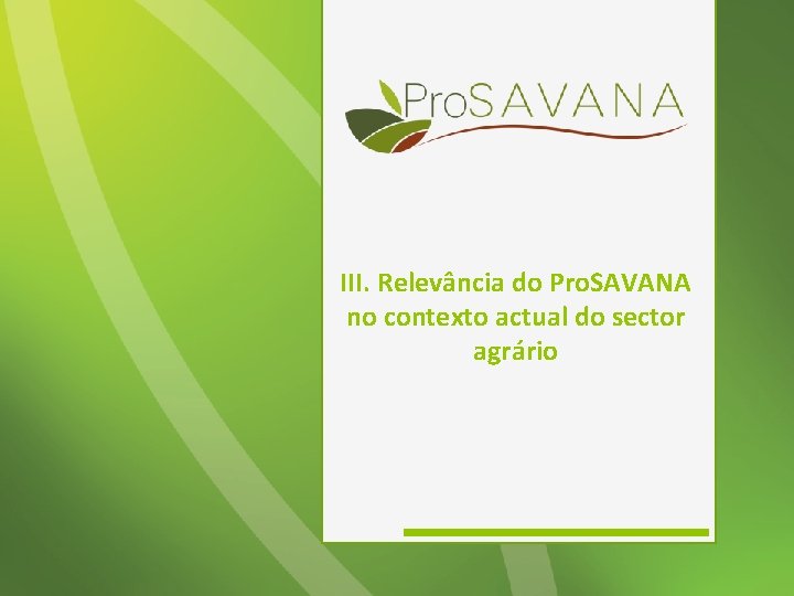 III. Relevância do Pro. SAVANA no contexto actual do sector agrário 