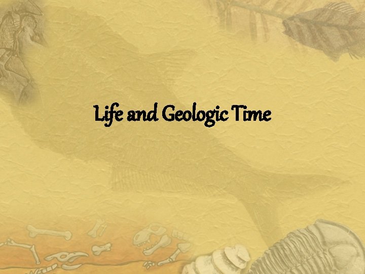 Life and Geologic Time 