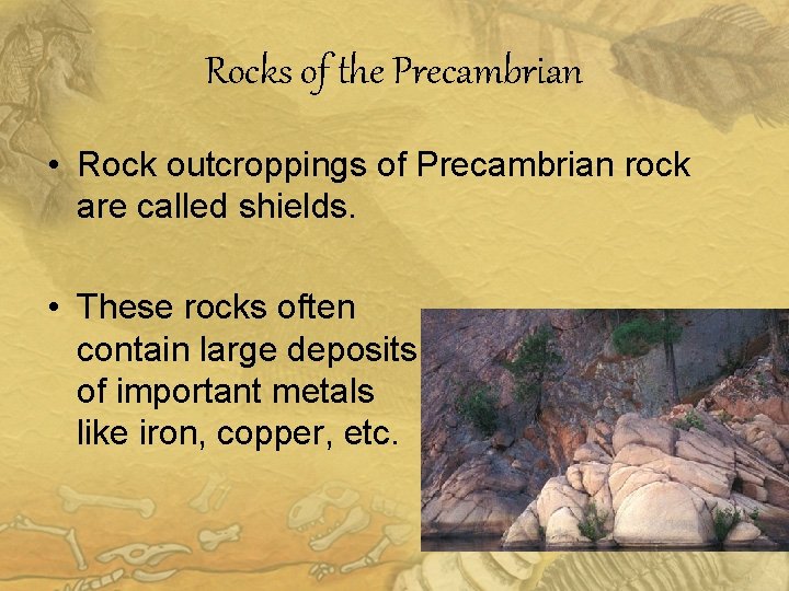 Rocks of the Precambrian • Rock outcroppings of Precambrian rock are called shields. •