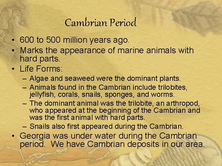 Cambrian Period • 600 to 500 million years ago. • Marks the appearance of