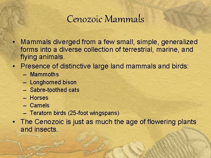 Cenozoic Mammals • Mammals diverged from a few small, simple, generalized forms into a