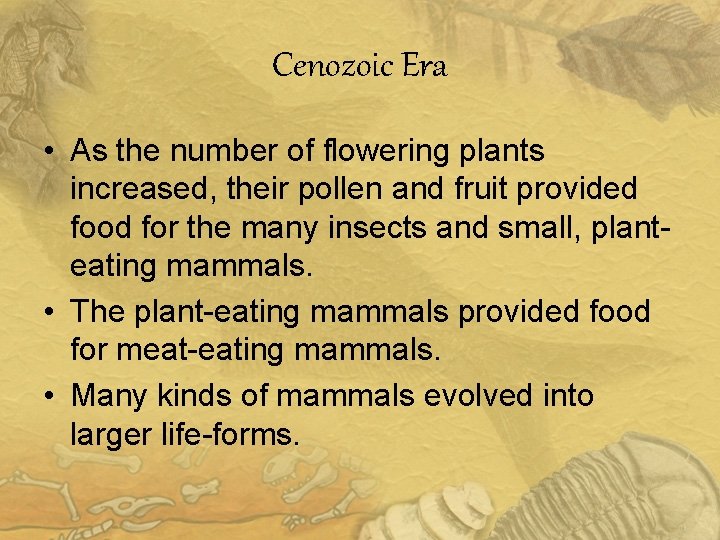 Cenozoic Era • As the number of flowering plants increased, their pollen and fruit