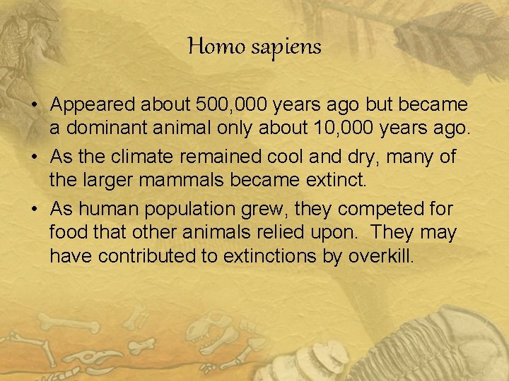 Homo sapiens • Appeared about 500, 000 years ago but became a dominant animal