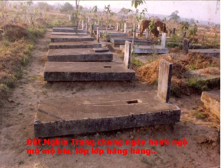 Đất Nghĩa Trang chung ngày hạnh ngộ mộ mộ bia, lớp hàng… 