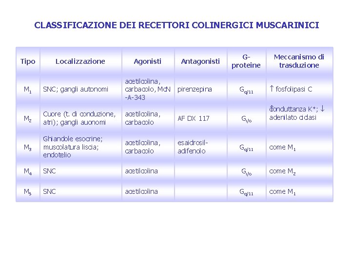 CLASSIFICAZIONE DEI RECETTORI COLINERGICI MUSCARINICI Tipo Localizzazione Agonisti M 1 SNC; gangli autonomi acetilcolina,