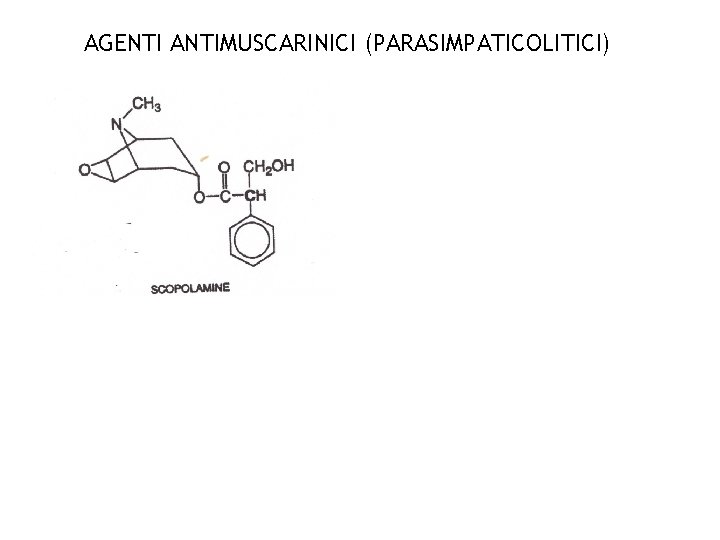 AGENTI ANTIMUSCARINICI (PARASIMPATICOLITICI) 