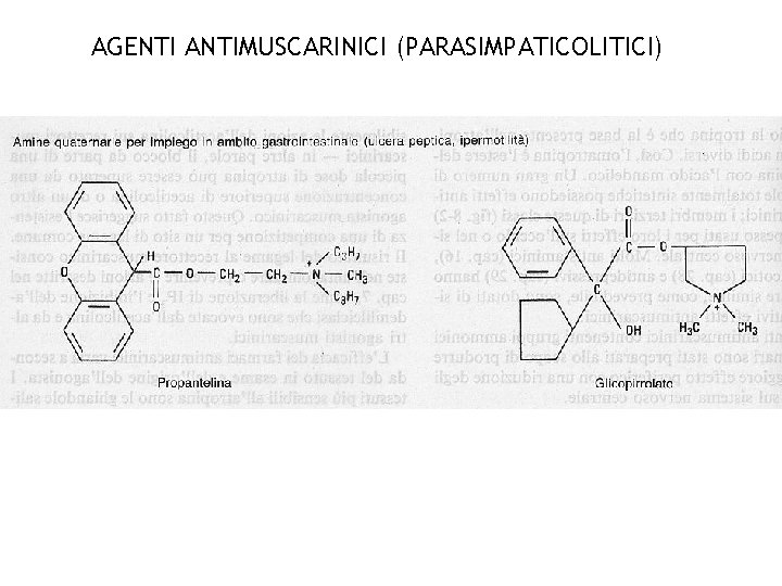 AGENTI ANTIMUSCARINICI (PARASIMPATICOLITICI) 