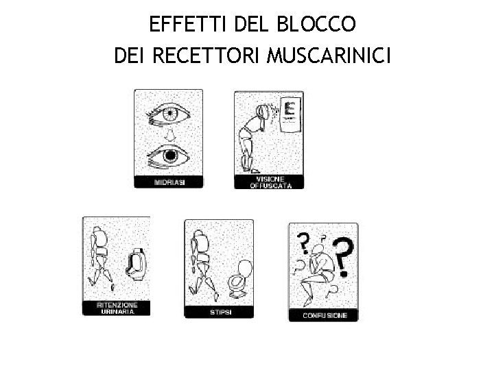 EFFETTI DEL BLOCCO DEI RECETTORI MUSCARINICI 