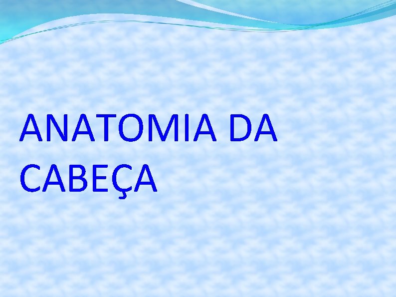 ANATOMIA DA CABEÇA 