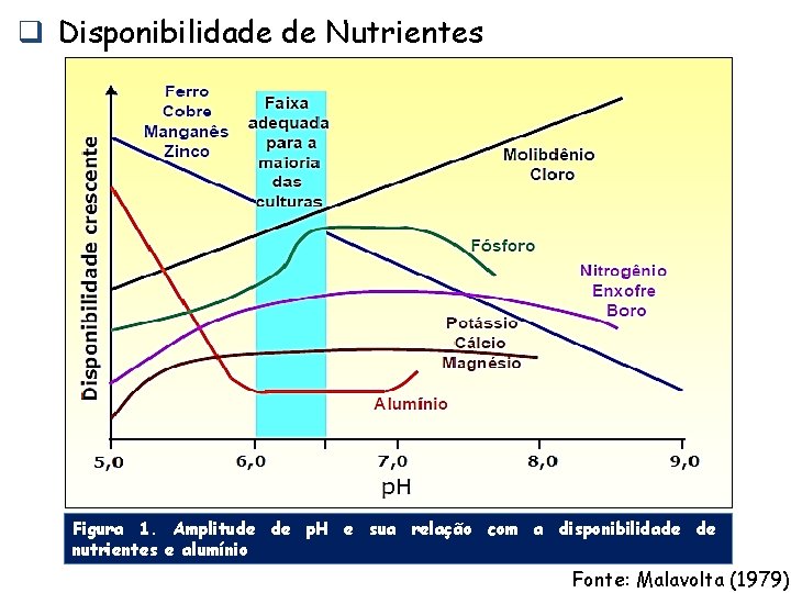 q Disponibilidade de Nutrientes Figura 1. Amplitude de p. H e sua relação com q Disponibilidade de Nutrientes Figura 1. Amplitude de p. H e sua relação com