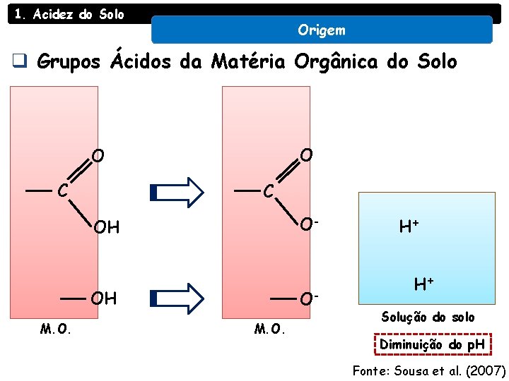 1. Acidez do Solo Origem q Grupos Ácidos da Matéria Orgânica do Solo O