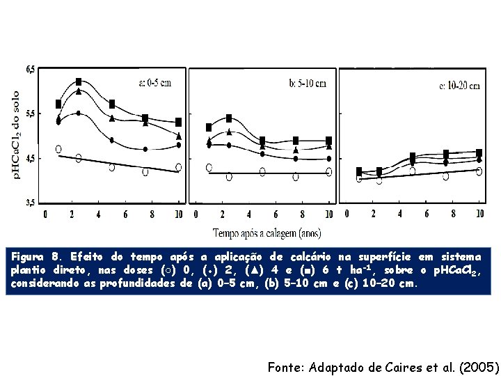 Figura 8. Efeito do tempo após a aplicação de calcário na superfície em sistema