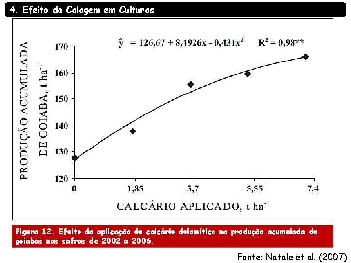 4. Efeito da Calagem em Culturas Figura 12. Efeito da aplicação de calcário dolomítico