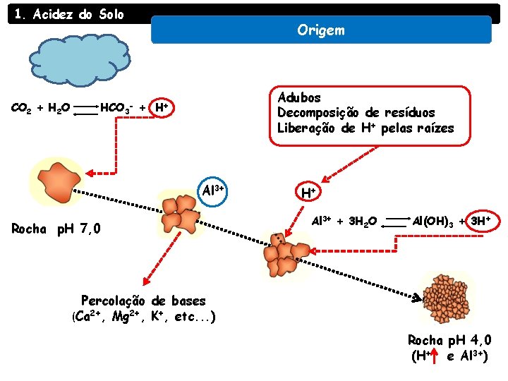 1. Acidez do Solo CO 2 + H 2 O Origem HCO 3 +