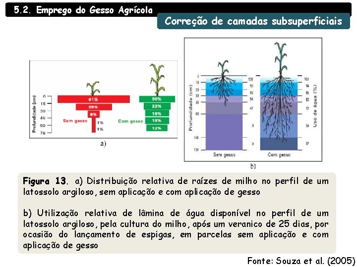 5. 2. Emprego do Gesso Agrícola Correção de camadas subsuperficiais Figura 13. a) Distribuição 5. 2. Emprego do Gesso Agrícola Correção de camadas subsuperficiais Figura 13. a) Distribuição