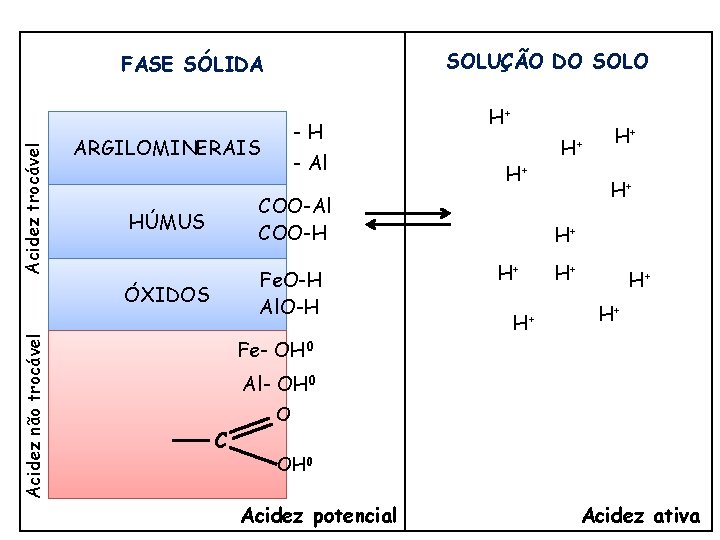 SOLUÇÃO DO SOLO Acidez não trocável Acidez trocável FASE SÓLIDA -H ARGILOMINERAIS - Al