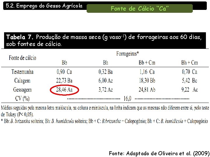 5. 2. Emprego do Gesso Agrícola Fonte de Cálcio “Ca” Tabela 7. Produção de