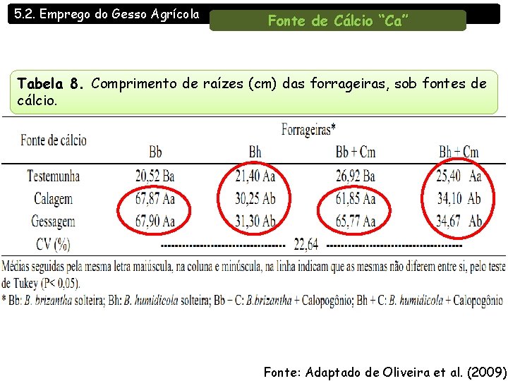 5. 2. Emprego do Gesso Agrícola Fonte de Cálcio “Ca” Tabela 8. Comprimento de