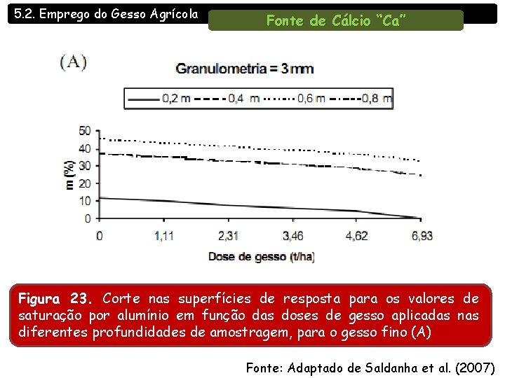 5. 2. Emprego do Gesso Agrícola Fonte de Cálcio “Ca” Figura 23. Corte nas