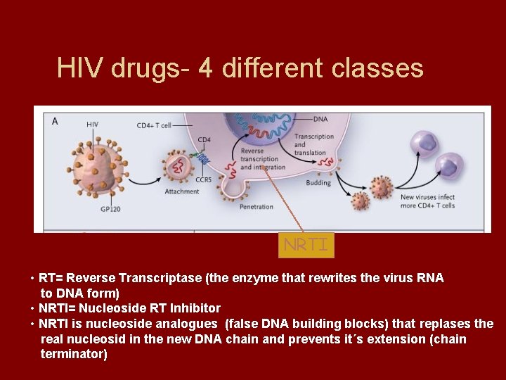 HIV drugs- 4 different classes NRTI • RT= Reverse Transcriptase (the enzyme that rewrites