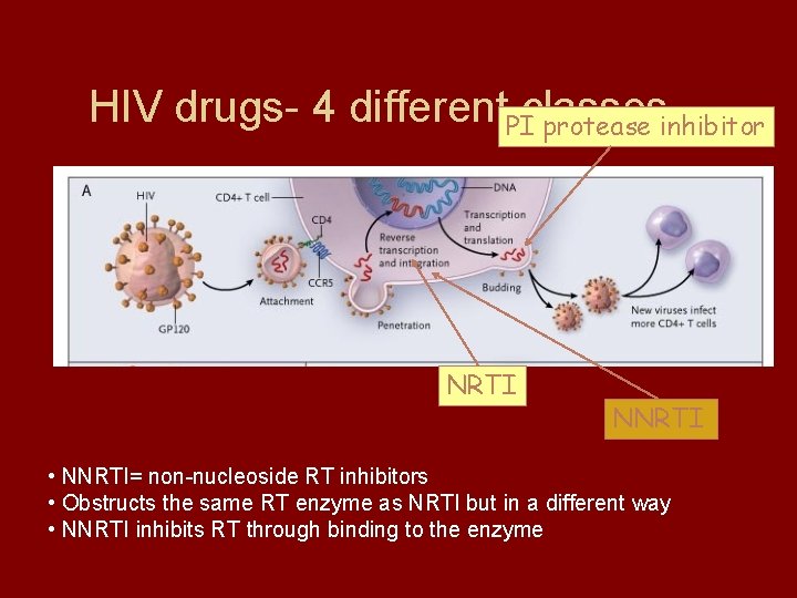 HIV drugs- 4 different. PIclasses protease inhibitor NRTI NNRTI • NNRTI= non-nucleoside RT inhibitors