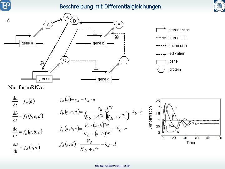 Modeling of Gene expression Central Dogma of Molecular