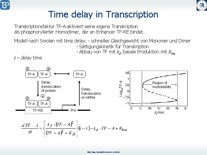 Time delay in Transcription Transkriptionsfaktor TF-A aktiviert seine eigene Transkription als phosphorylierter Homodimer, der