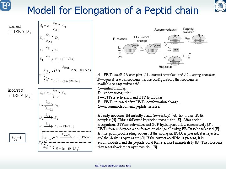 Modeling of Gene expression Central Dogma of Molecular