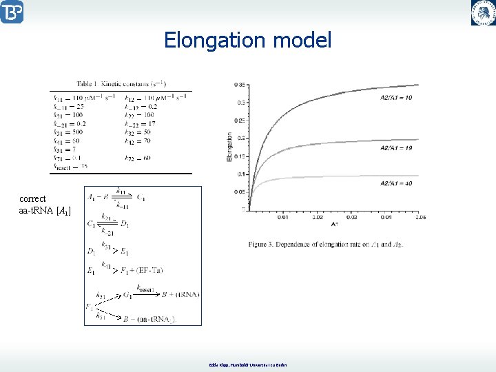 Elongation model correct aa-t. RNA [A 1] Edda Klipp, Humboldt-Universität zu Berlin 