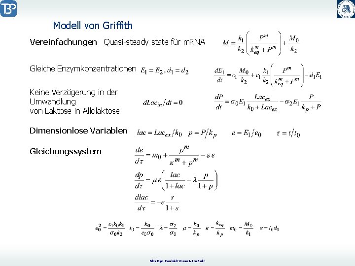 Modell von Griffith Vereinfachungen Quasi-steady state für m. RNA Gleiche Enzymkonzentrationen Keine Verzögerung in