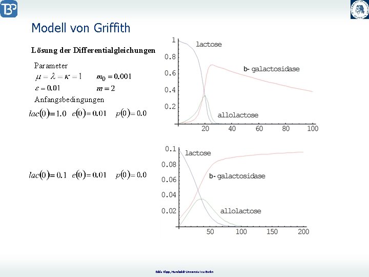 Modell von Griffith Lösung der Differentialgleichungen Parameter Anfangsbedingungen Edda Klipp, Humboldt-Universität zu Berlin 
