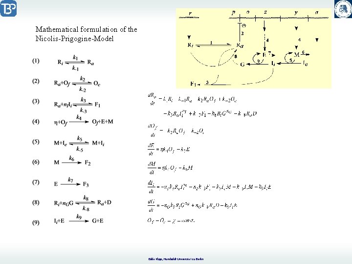 Mathematical formulation of the Nicolis-Prigogine-Model Edda Klipp, Humboldt-Universität zu Berlin 