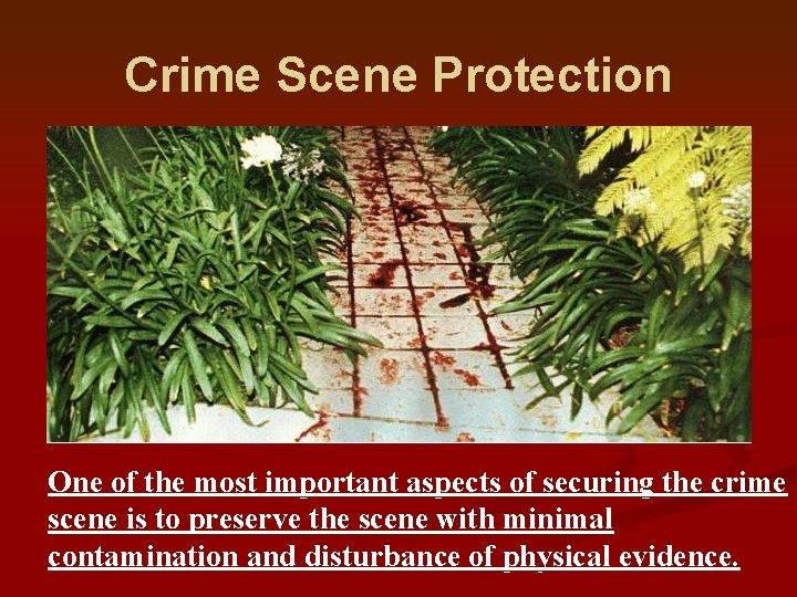 Crime Scene Protection One of the most important aspects of securing the crime scene