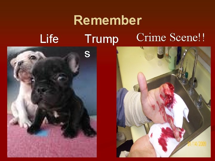 Remember Life Trump s Crime Scene!! 