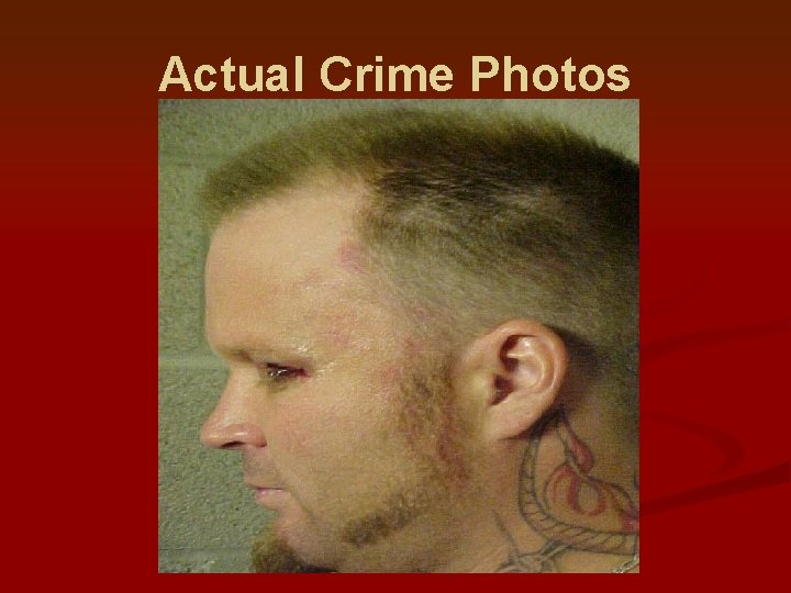 Actual Crime Photos 