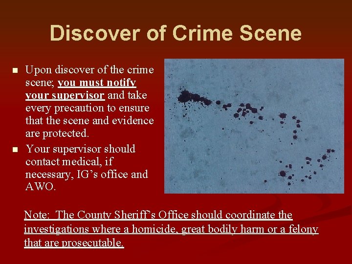 Discover of Crime Scene n n Upon discover of the crime scene; you must