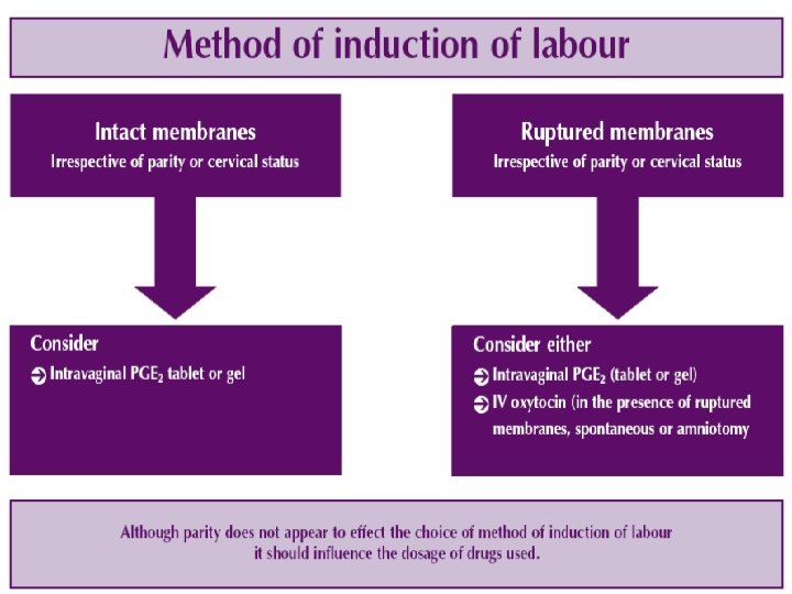 Induction Of Labor Amr Nadim Md Professor Of
